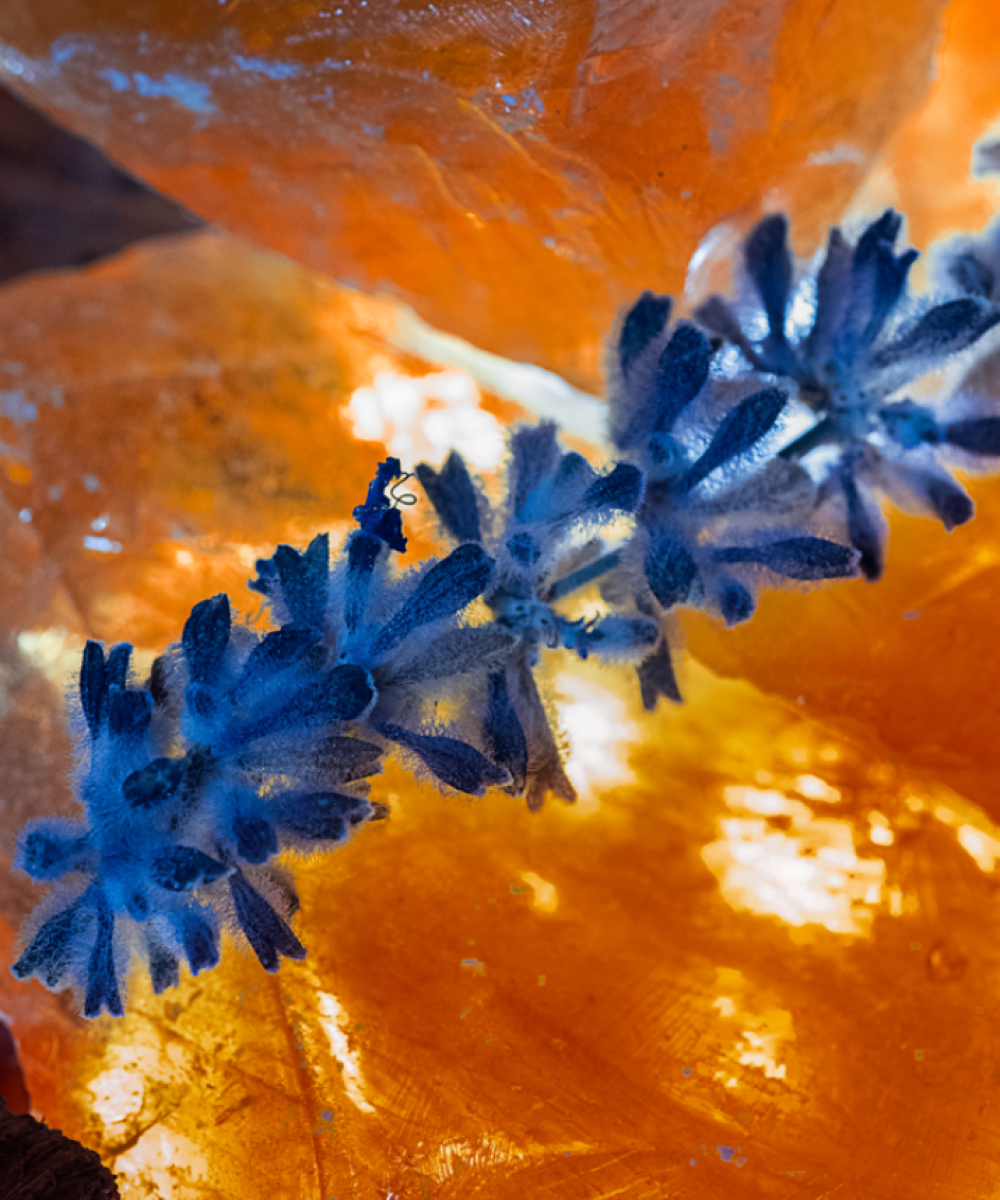 Ambre Millénaire – Extrait de Parfum 100ml-3