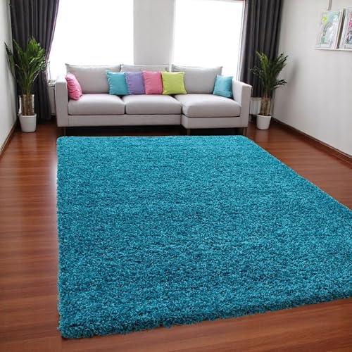 Shaggy Rugs for Living Room, Fluffy and Non Slip Rug