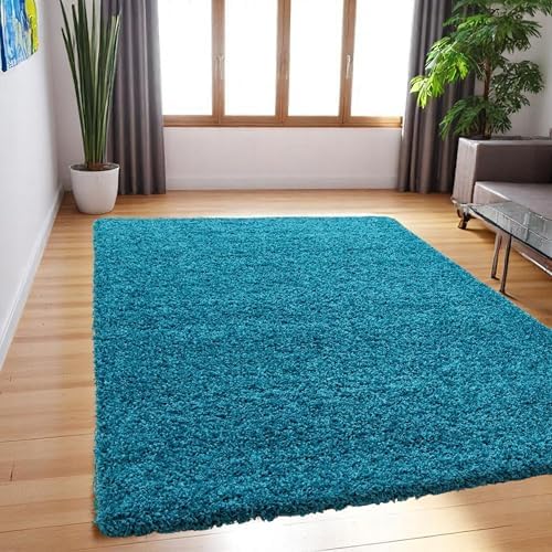 Shaggy Rugs for Living Room, Fluffy and Non Slip Rug