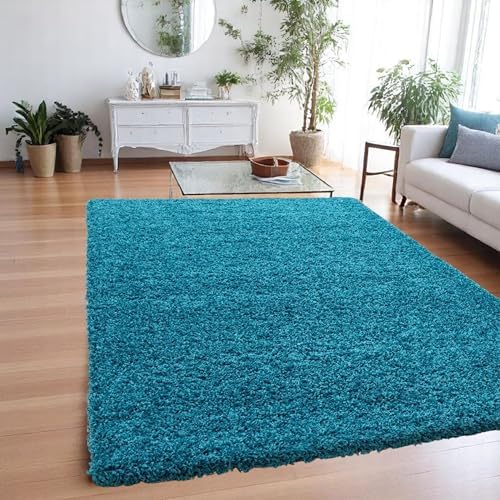 Shaggy Rugs for Living Room, Fluffy and Non Slip Rug